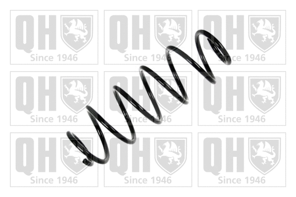 Suspension Spring (QCS6010)