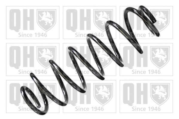 Suspension Spring (QCS6747)