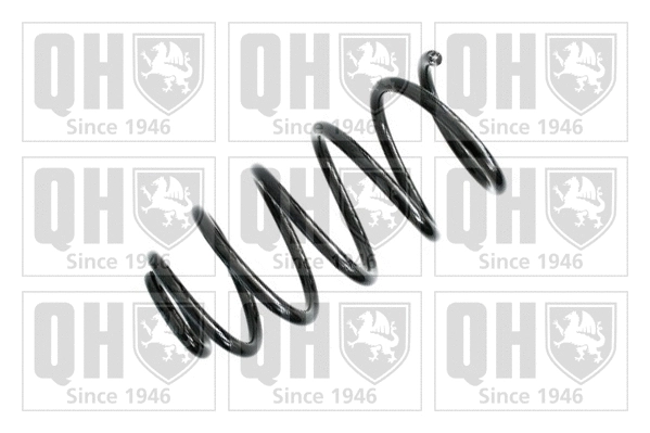 Suspension Spring (QCS5071)