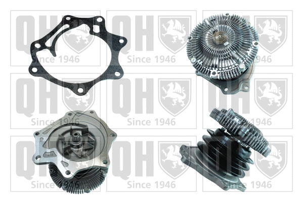 Water Pump, engine cooling (QCP3473)