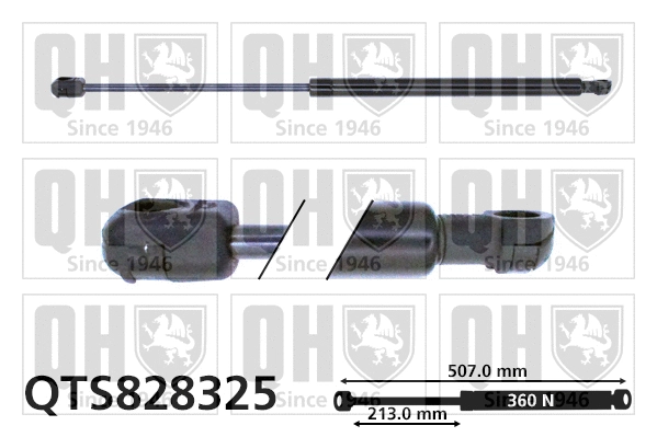 Gas Spring, boot/cargo area (QTS828325)