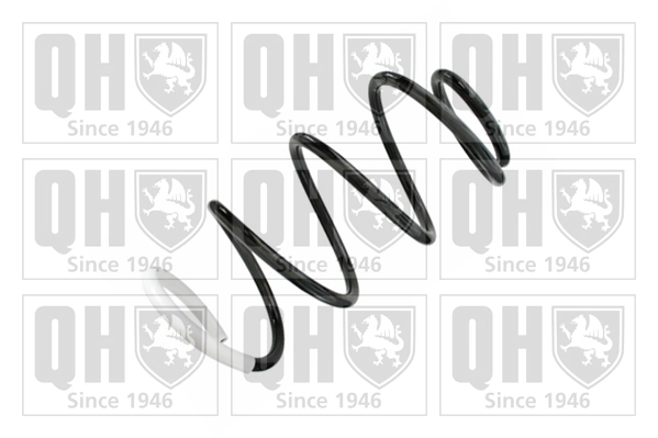 Suspension Spring (QCS8553)