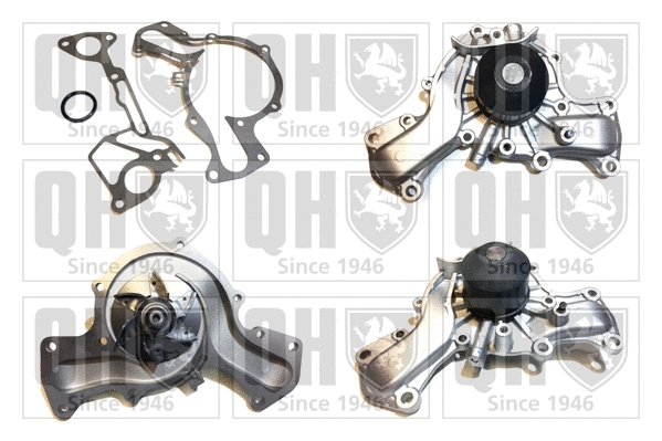 Water Pump, engine cooling (QCP3338)