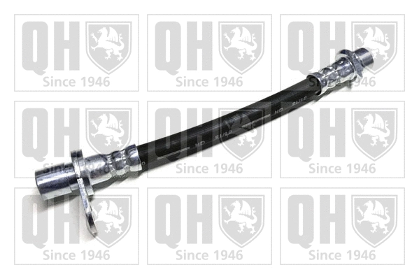 Brake Hose (BFH6124)