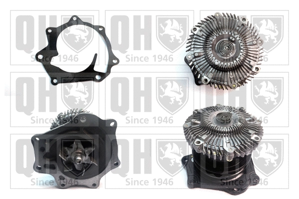 Water Pump, engine cooling (QCP2975)