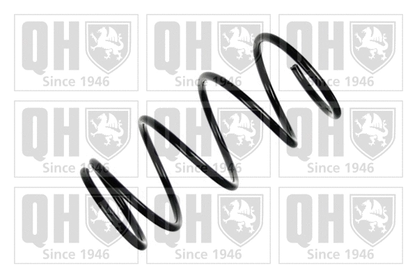 Suspension Spring (QCS7906)