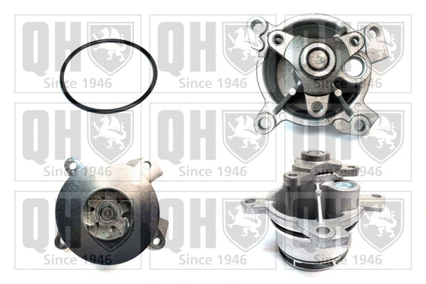 Water Pump, engine cooling (QCP3980)