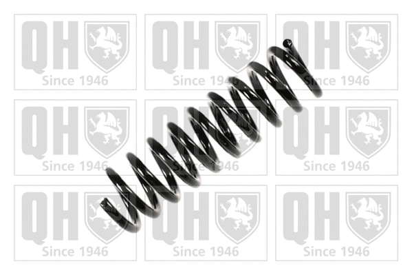 Suspension Spring (QCS5204)