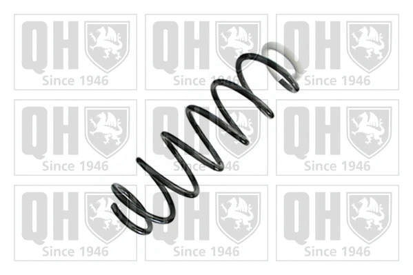 Suspension Spring (QCS8727)