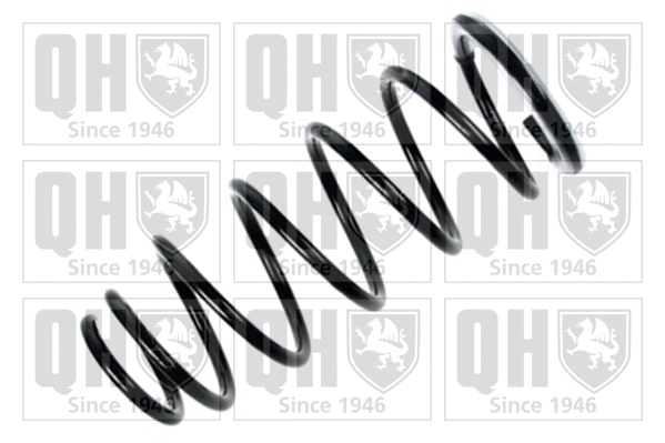 Suspension Spring (QCS5046)