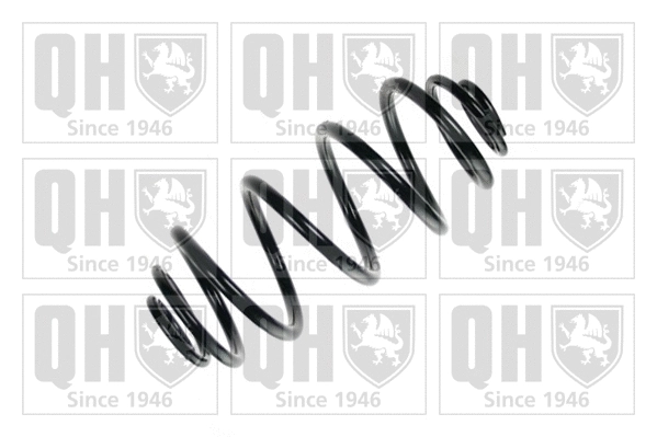 Suspension Spring (QCS8125)