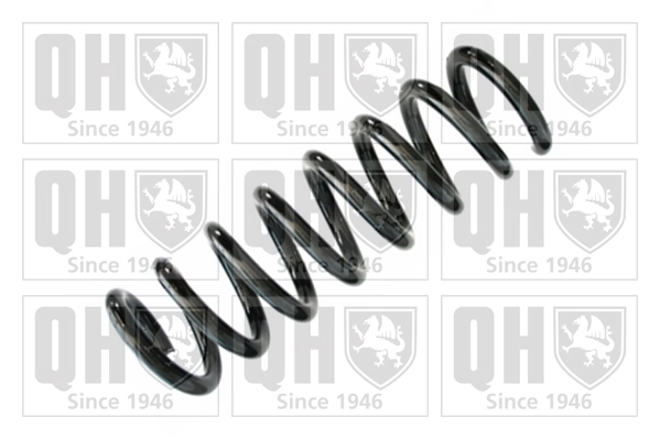 Suspension Spring (QCS8680)