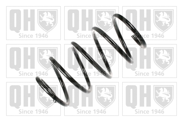 Suspension Spring (QCS6606)