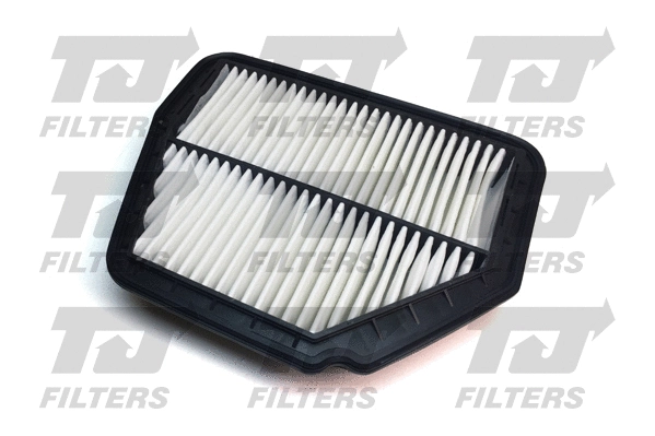 Air Filter (QFA0954)