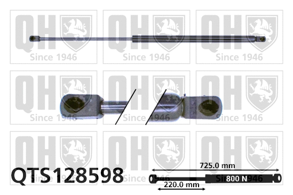 Gas Spring, boot/cargo area (QTS128598)