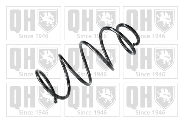 Suspension Spring (QCS5666)