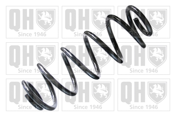 Suspension Spring (QCS8079)