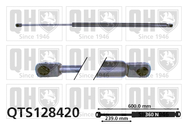 Gas Spring, boot/cargo area (QTS128420)
