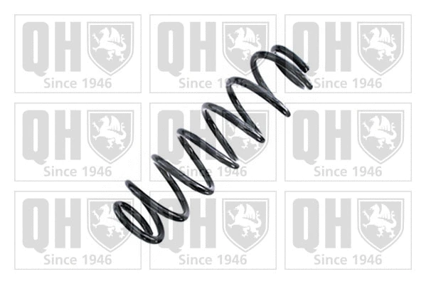 Suspension Spring (QCS8979)