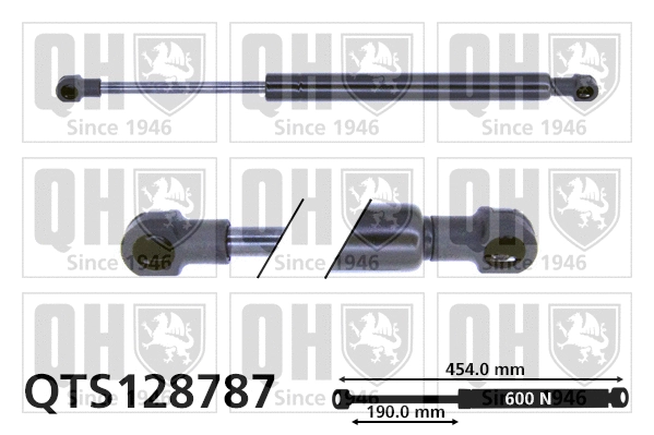 Gas Spring, boot/cargo area (QTS128787)