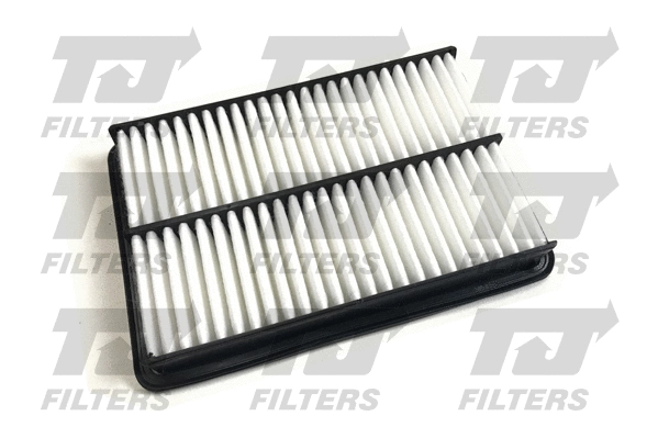 Air Filter (QFA0979)