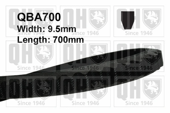 V-Belt (QBA700)