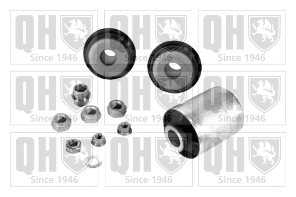 Repair Kit, control arm (QSK250S)