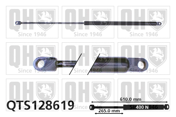Gas Spring, bonnet (QTS128619)