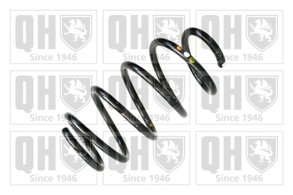 Suspension Spring (QCS8039)