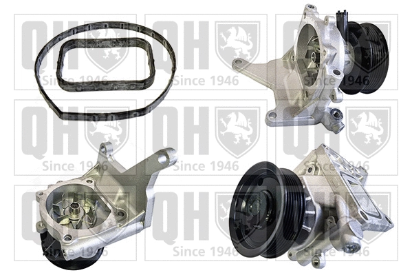 Water Pump, engine cooling (QCP3974)