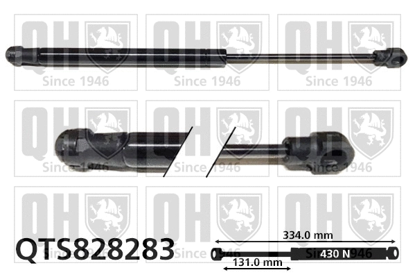 Gas Spring, rear window (QTS828283)