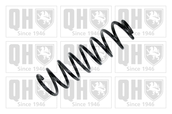 Suspension Spring (QCS5134)