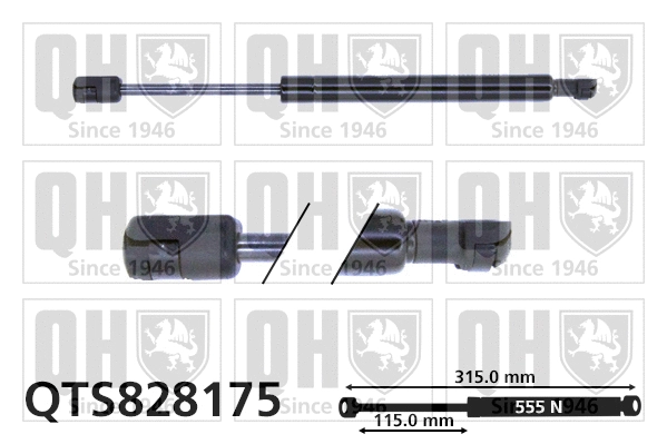 Gas Spring, boot/cargo area (QTS828175)