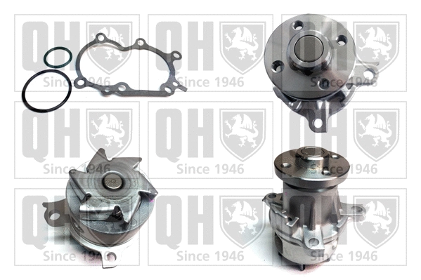 Water Pump, engine cooling (QCP3586)