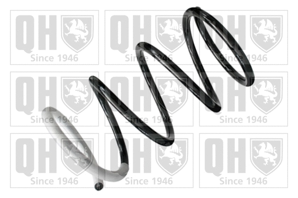 Suspension Spring (QCS6017)