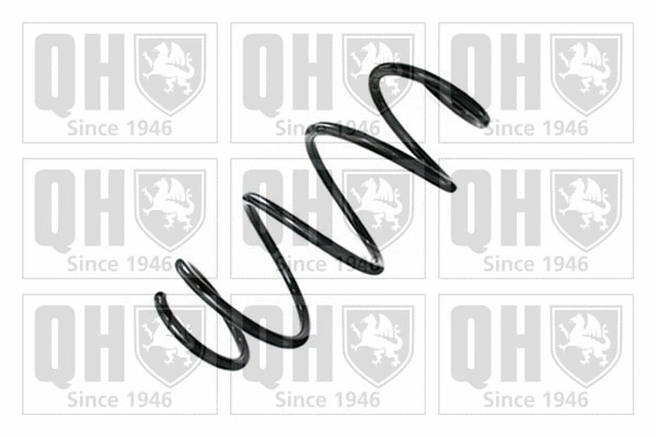 Suspension Spring (QCS8702)