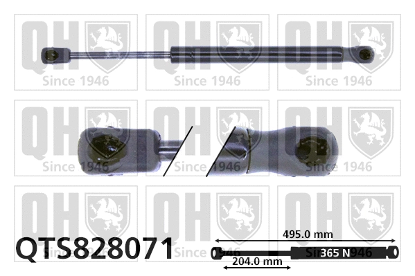 Gas Spring, boot/cargo area (QTS828071)