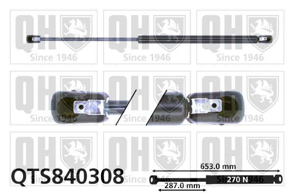 Gas Spring, boot/cargo area (QTS840308)