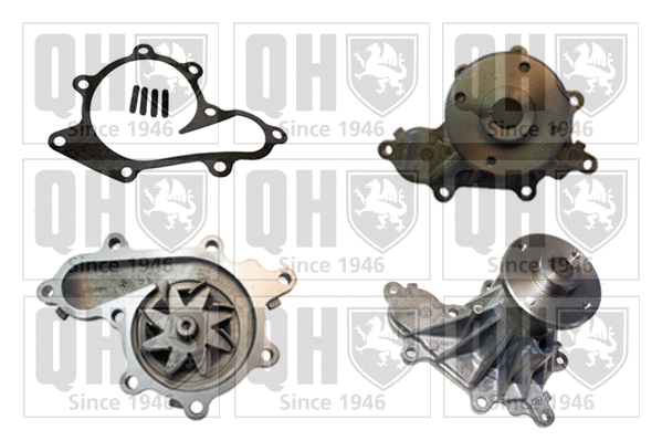 Water Pump, engine cooling (QCP3687)
