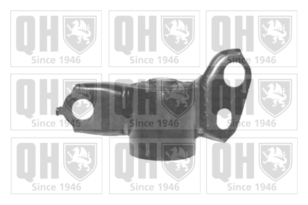 Mounting, control/trailing arm (EMS8389)
