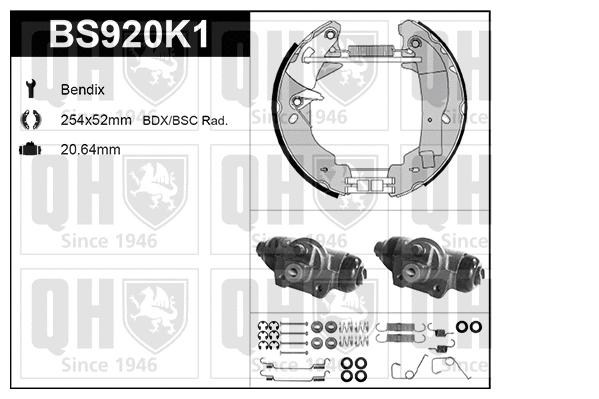 Brake Shoe Set (BS920K1)