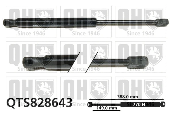 Gas Spring, boot/cargo area (QTS828643)