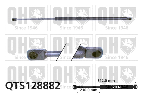 Gas Spring, bonnet (QTS128882)
