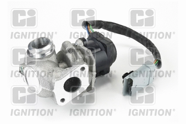 EGR Valve (XEGR33)