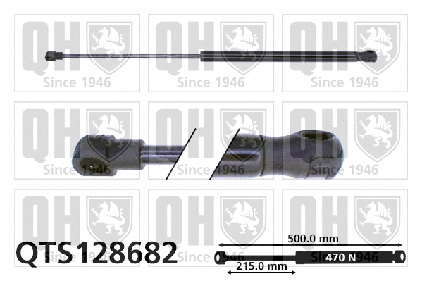Gas Spring, boot/cargo area (QTS128682)