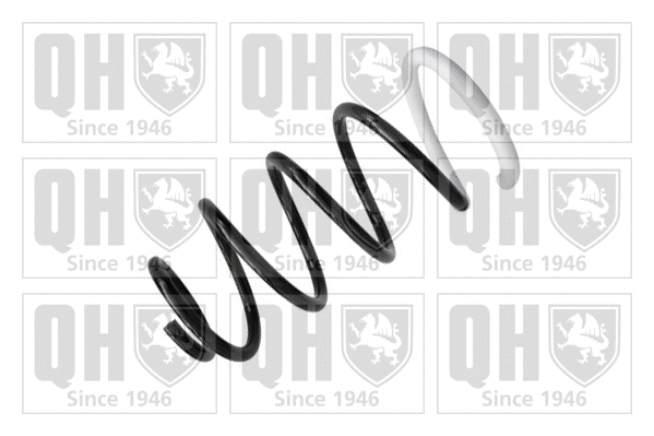 Suspension Spring (QCS5738)