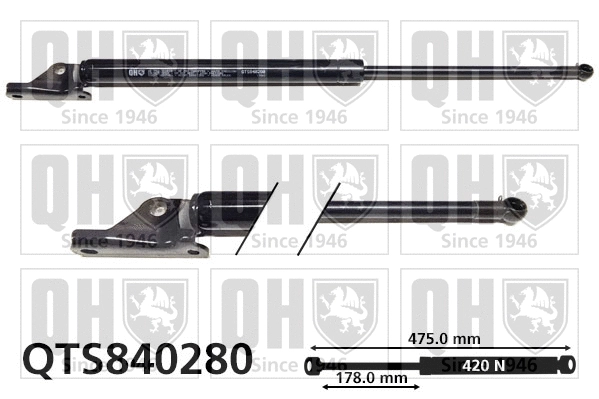 Gas Spring, boot/cargo area (QTS840280)