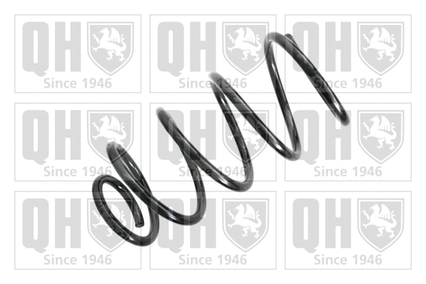 Suspension Spring (QCS5870)