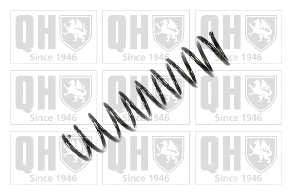 Suspension Spring (QCS7560)