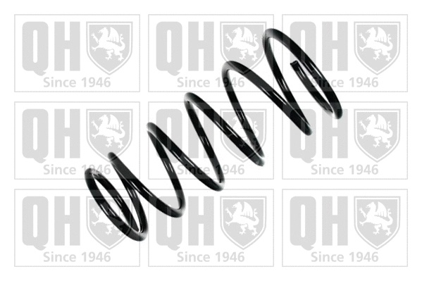 Suspension Spring (QCS5803)